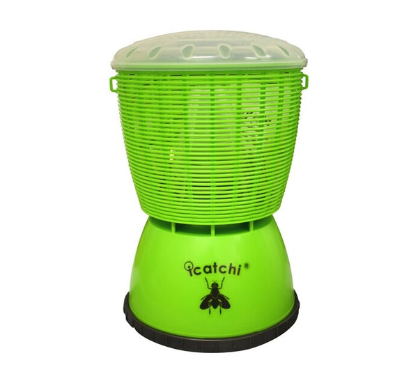 Icatchi Fly Trap – Mica Durban North